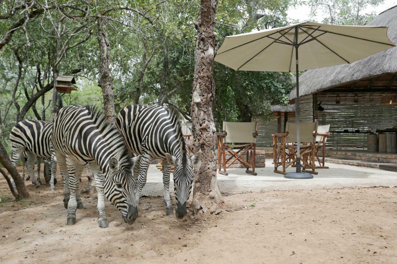 Tusk Bush Lodge Marloth Park Esterno foto