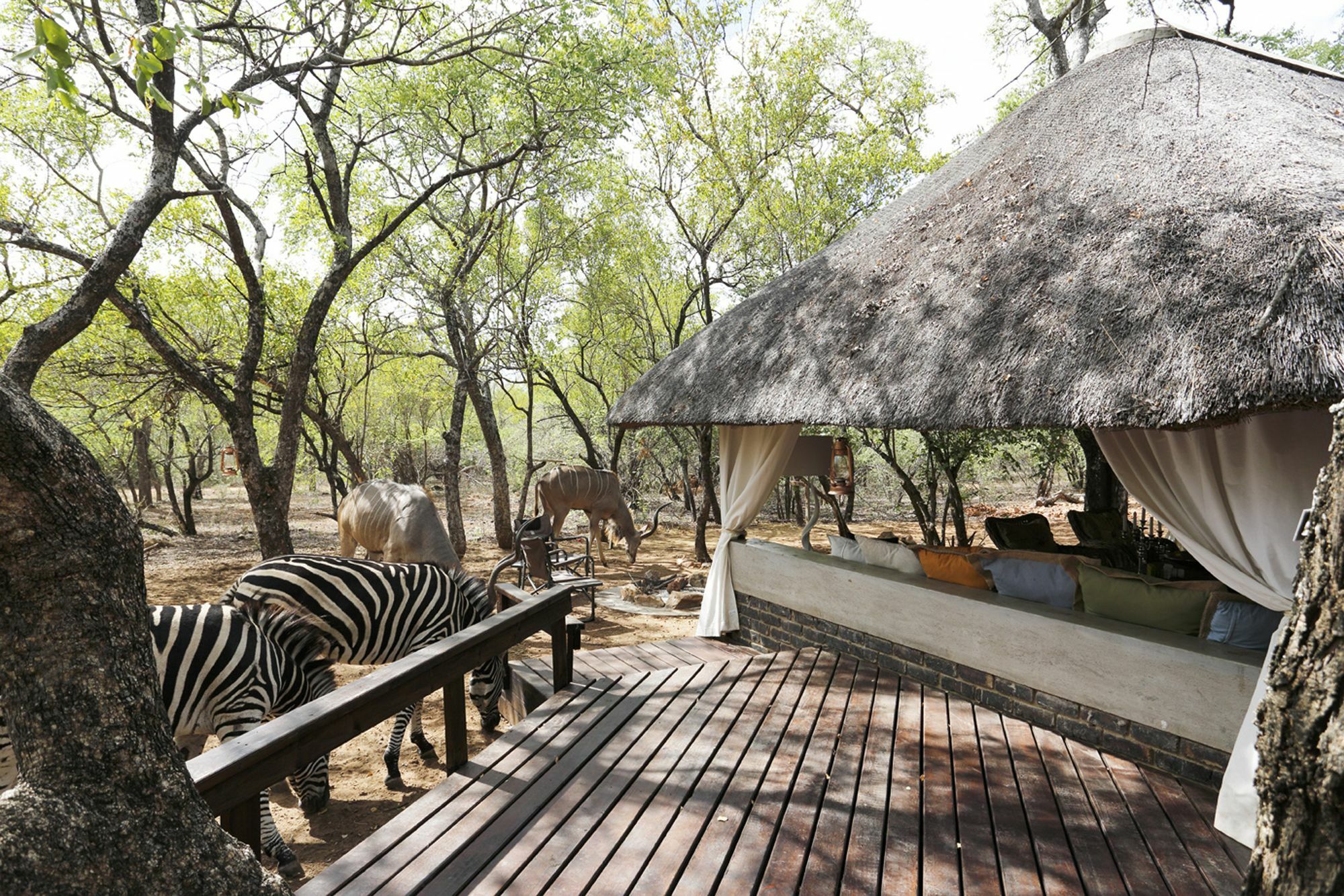 Tusk Bush Lodge Marloth Park Esterno foto