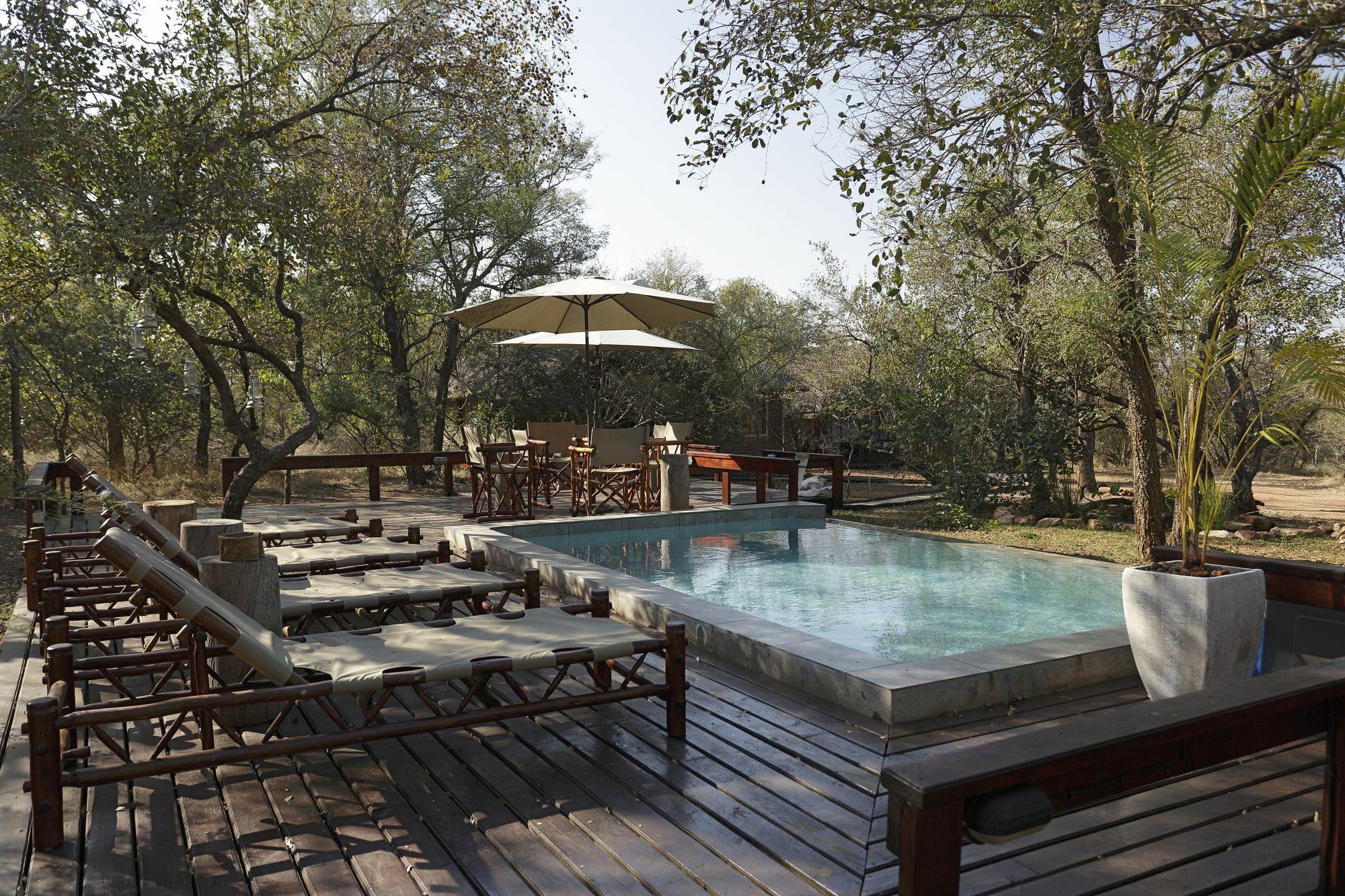 Tusk Bush Lodge Marloth Park Esterno foto