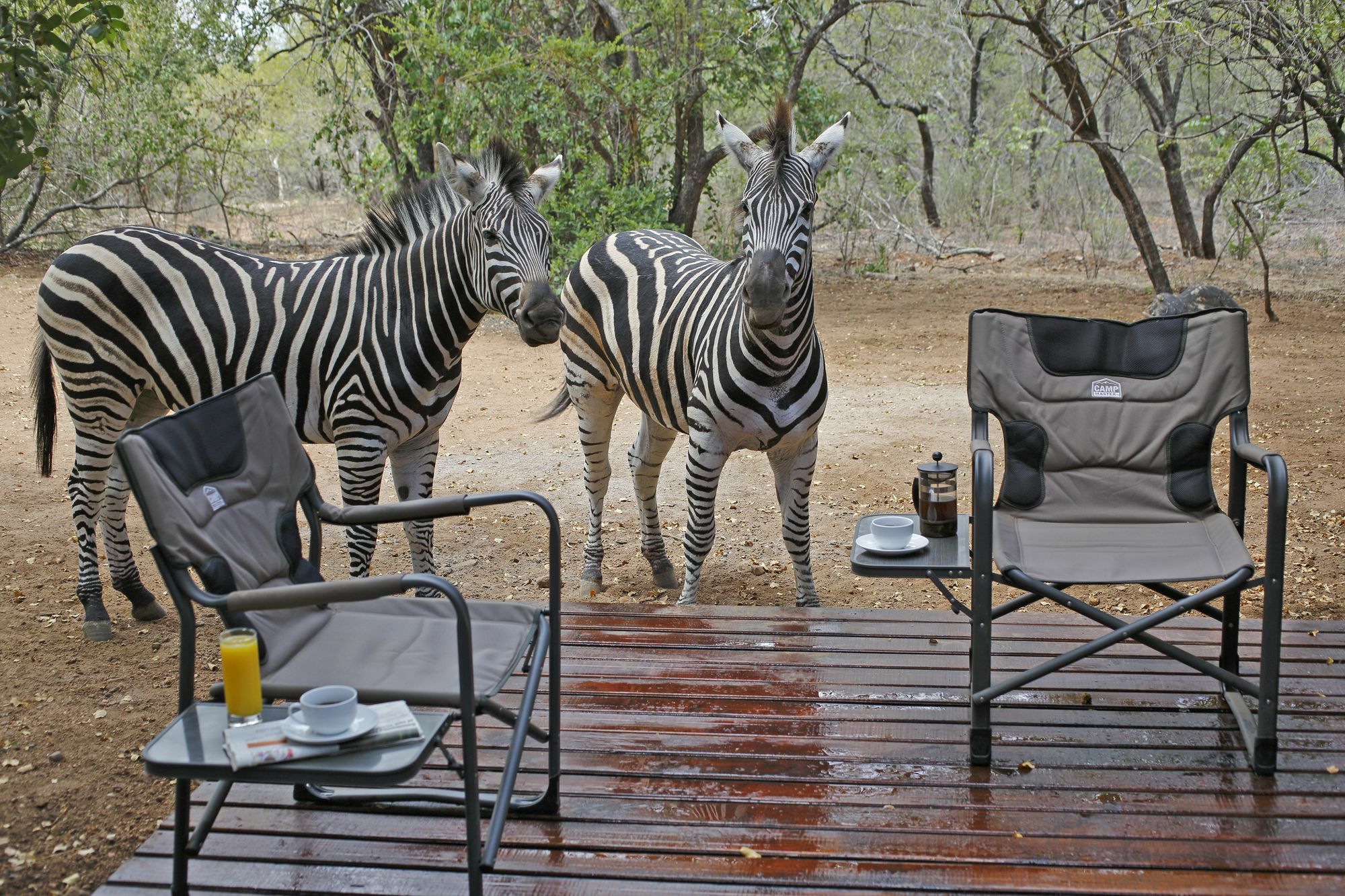 Tusk Bush Lodge Marloth Park Esterno foto