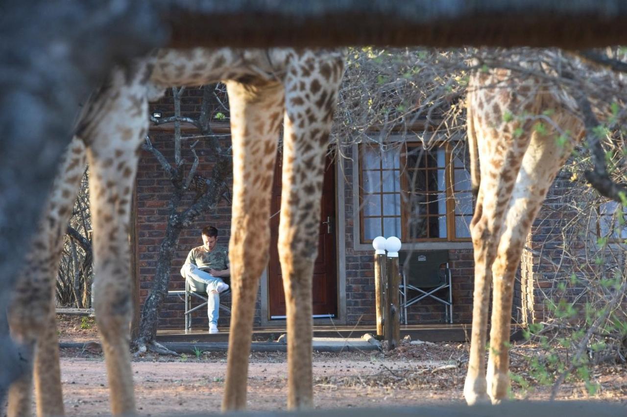 Tusk Bush Lodge Marloth Park Esterno foto