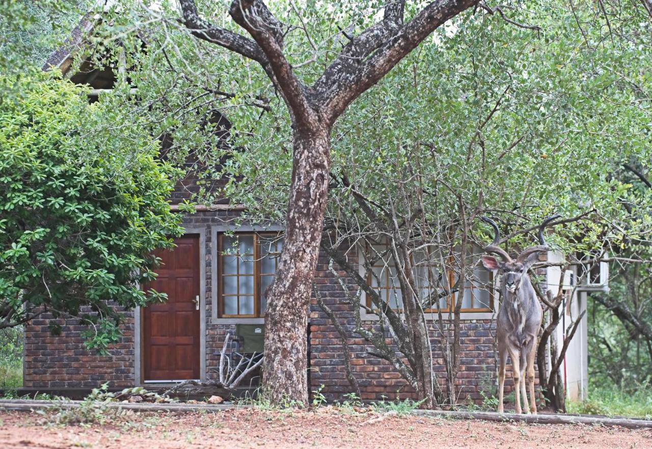 Tusk Bush Lodge Marloth Park Esterno foto